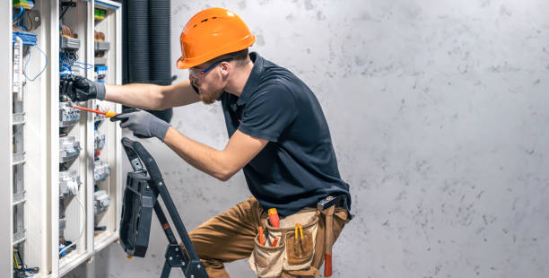 Best Electric Panel Repair  in Davisboro, GA